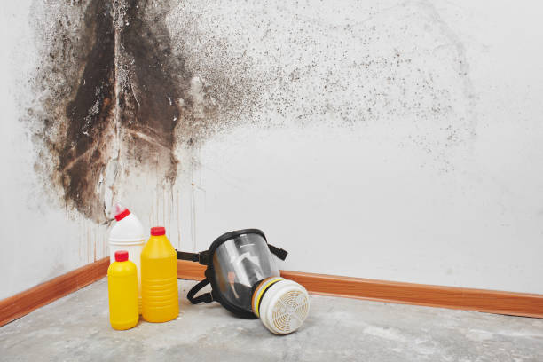 Best Commercial Mold Removal  in Crescent, OK