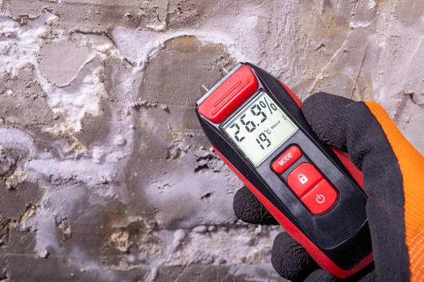 Best Same-Day Mold Removal  in Crescent, OK