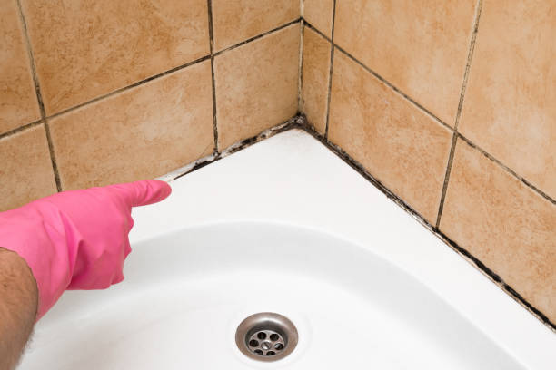 Best Certified Mold Removal  in Crescent, OK